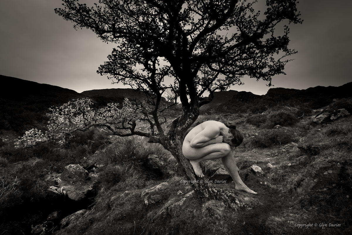 "Comforted by Nature"