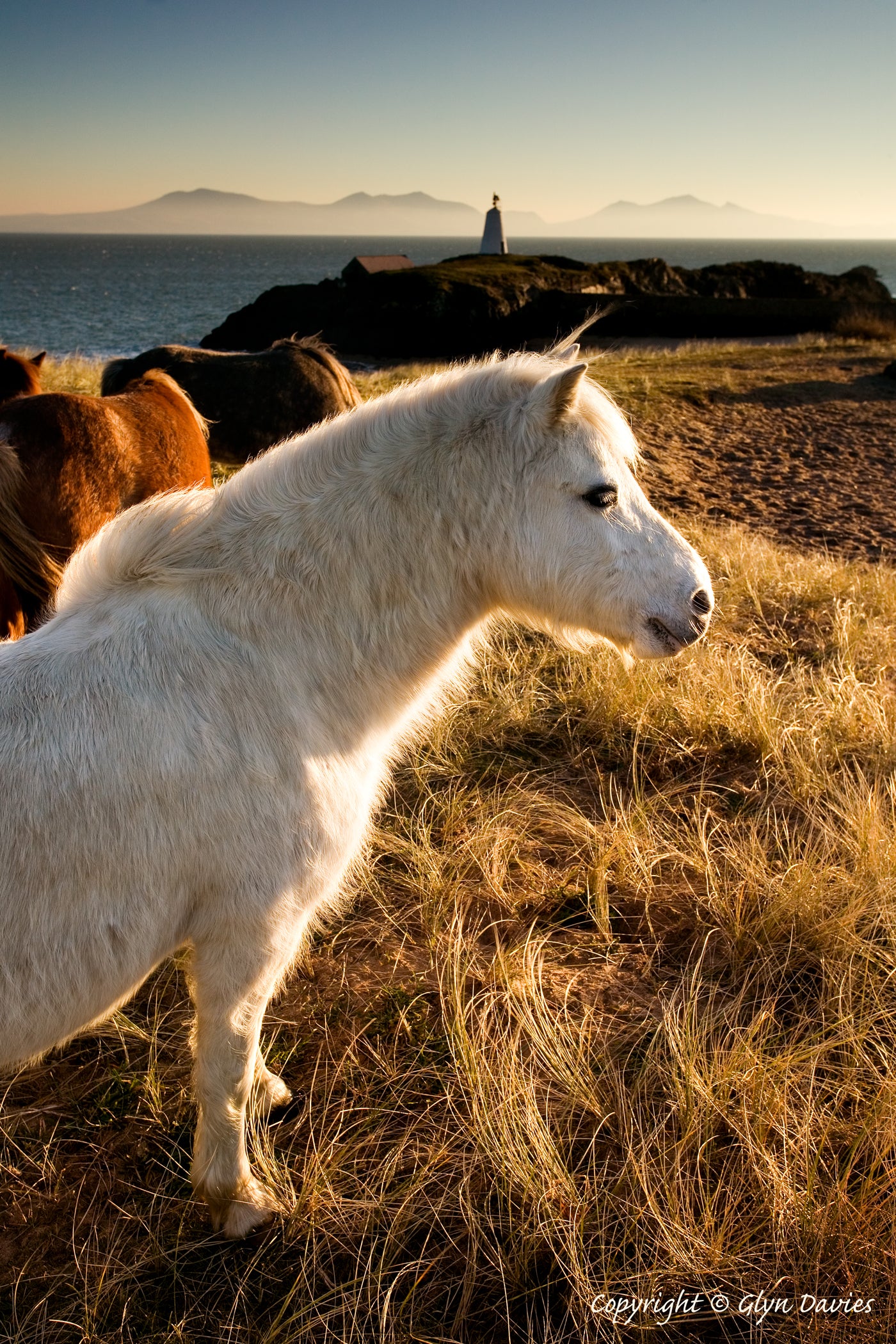 "In Search of the White Light" Llanddwyn