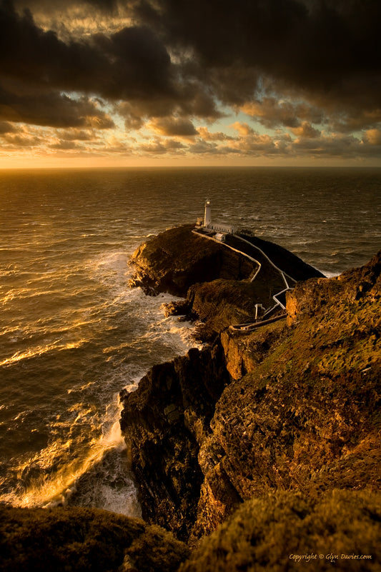 "Blown Gold" South Stack Lighthouse