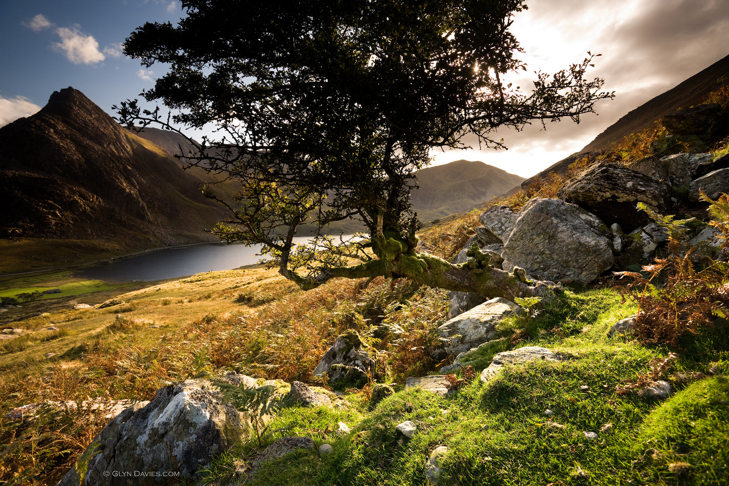 "I Caught the Light" Tryfan, Ogwen Valley