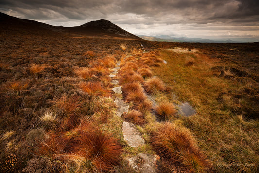 "Life Path" Tre'r Ceiri