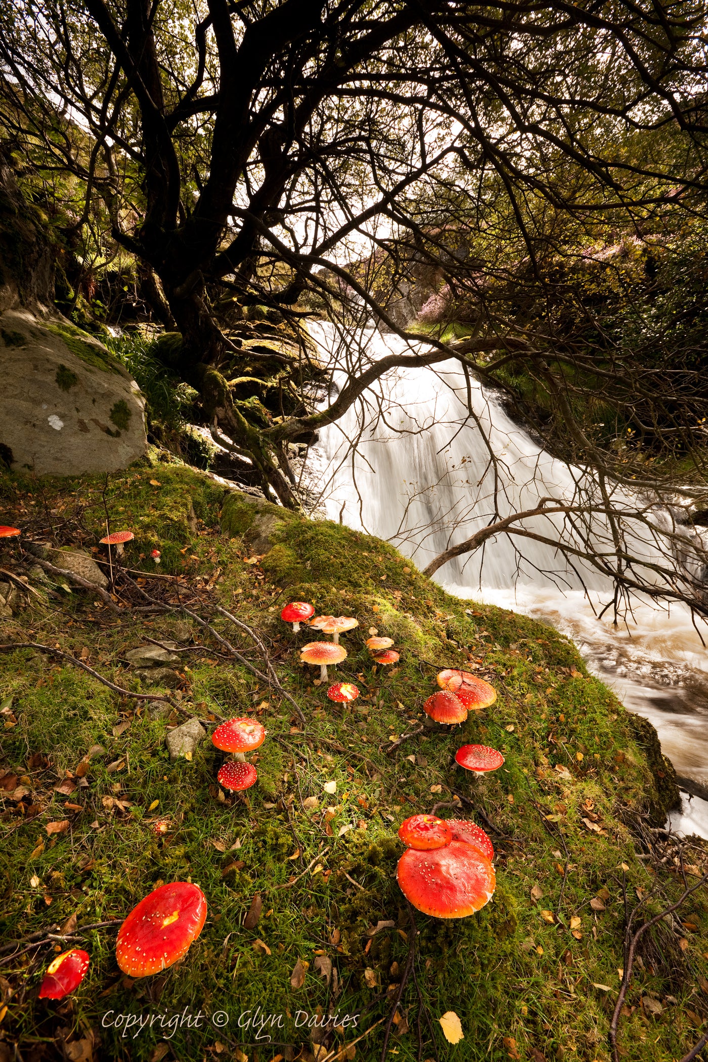"Fairy Magical" Aber Falls, Carneddau