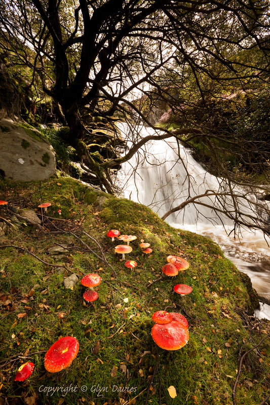 "Fairy Magical" Aber Falls, Carneddau
