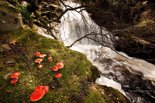 "The Ring & Bright Water" Aber, Carneddau