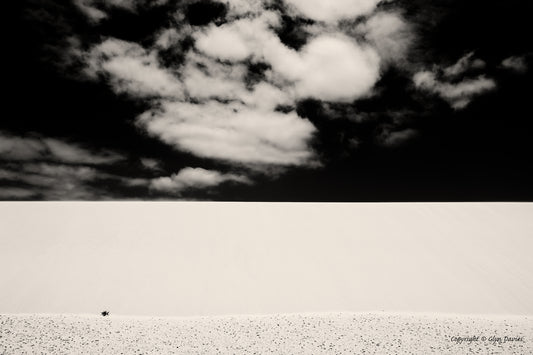 "Sand Tsunami" Corallejo, Fuerteventura