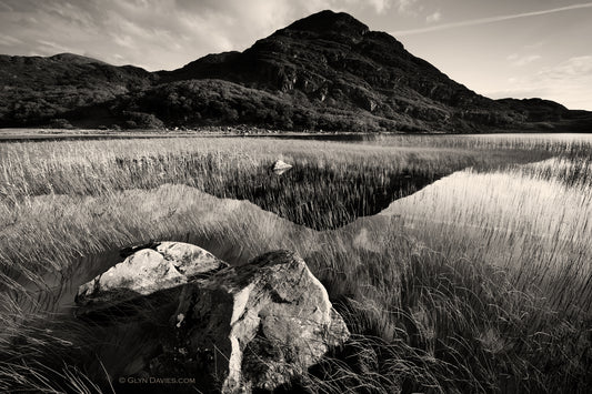 "Awaiting the Heron" Cwm Bychan
