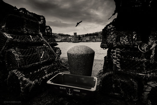 "A Bird Between Pots" St Ives, Cornwall