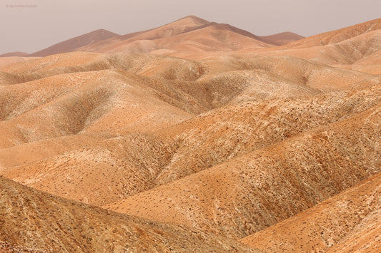 "Volcanic Bodies" Pájara, Fuerteventura