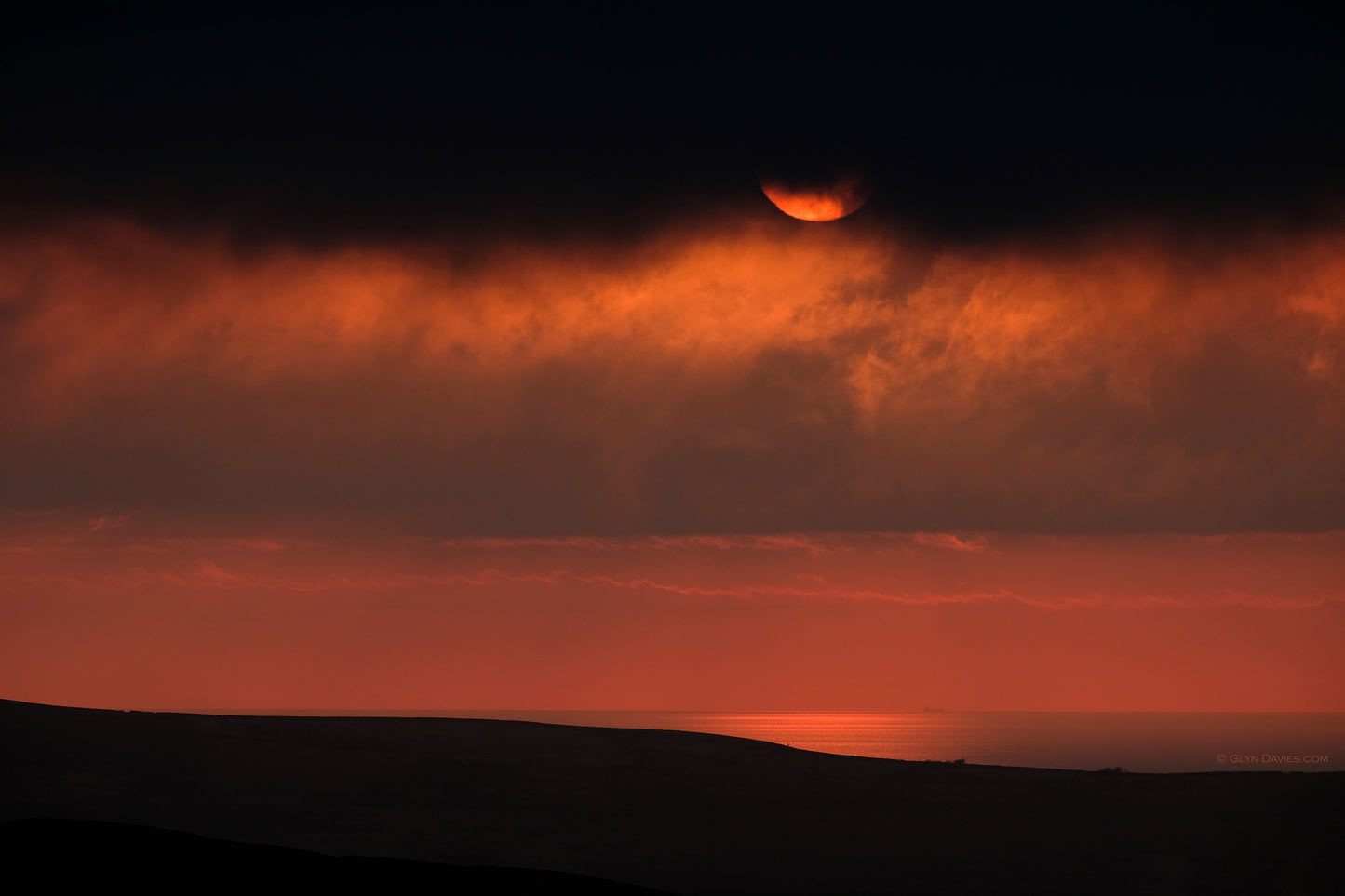 "It Appeared Because I Love You"