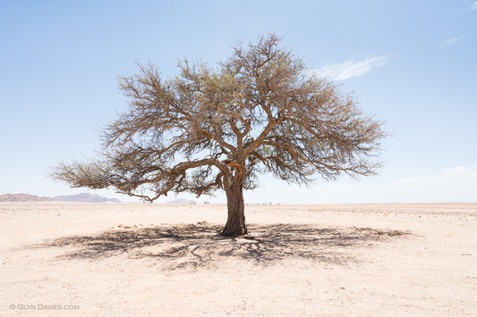 "Shade Sculpture No.1" Namibia