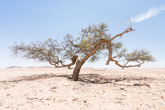 "Shade Sculpture No.2" Namibia
