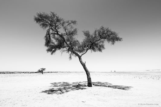 "Shade Sculpture No.3" Namibia