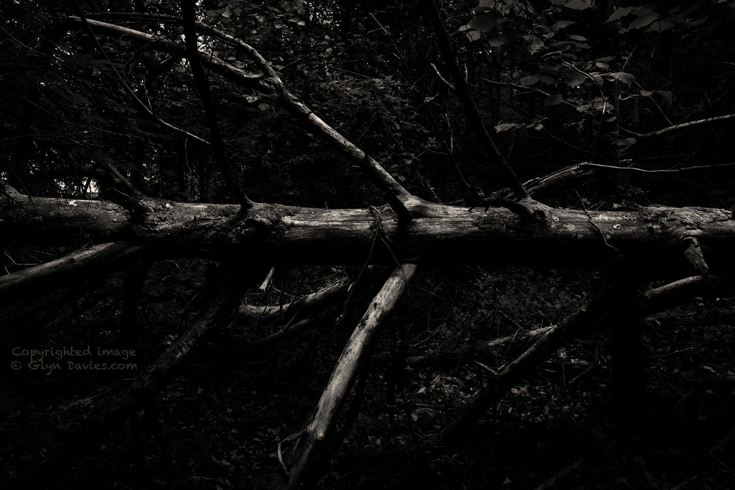 "The Fallen" Anglesey
