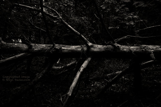 "The Fallen" Anglesey