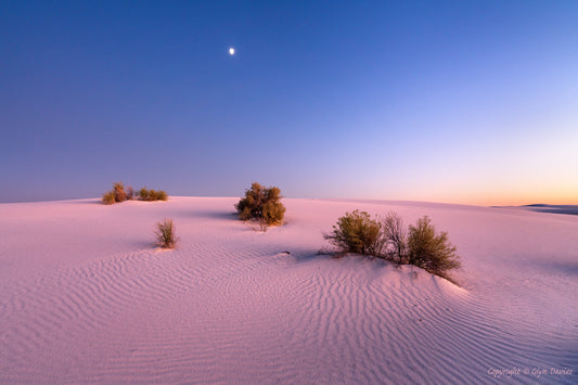 "When the Wind Blows" White Sands, New Mexico