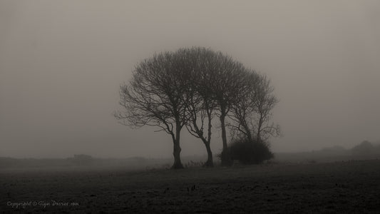 "Waiting for This" Ynys Môn