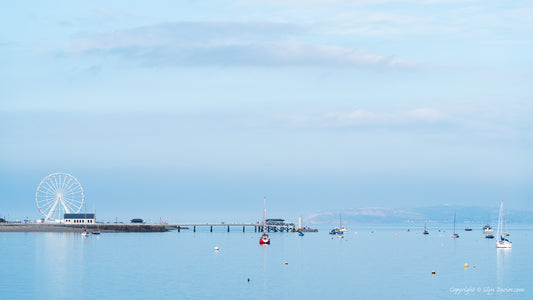 "First Hint of Summer" Beaumaris
