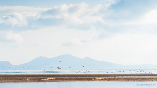 "Hints of Summer" Llanddwyn, Anglesey