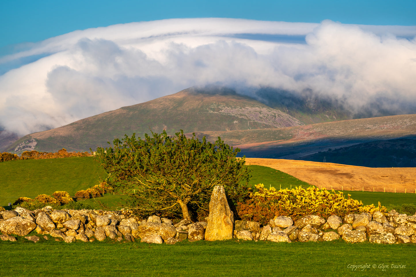"Standing Stare" Nebo