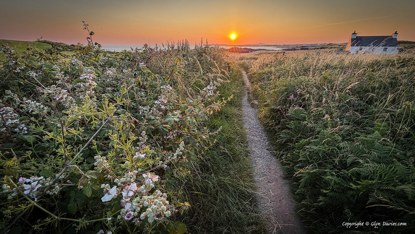 "Summer at the Cottage" Porth Nobla