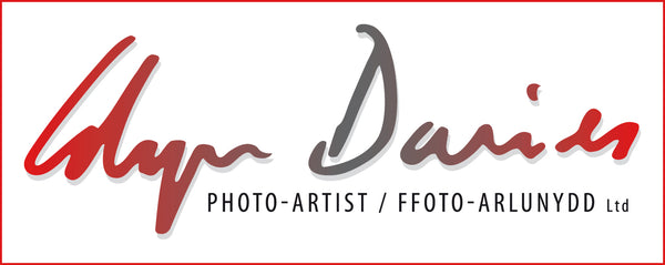 Glyn Davies Photo Gallery