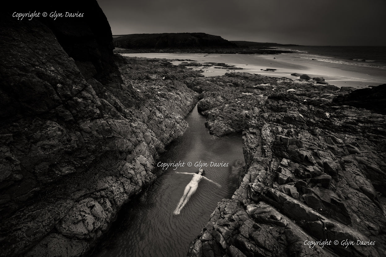 "Life in Rock Pools"