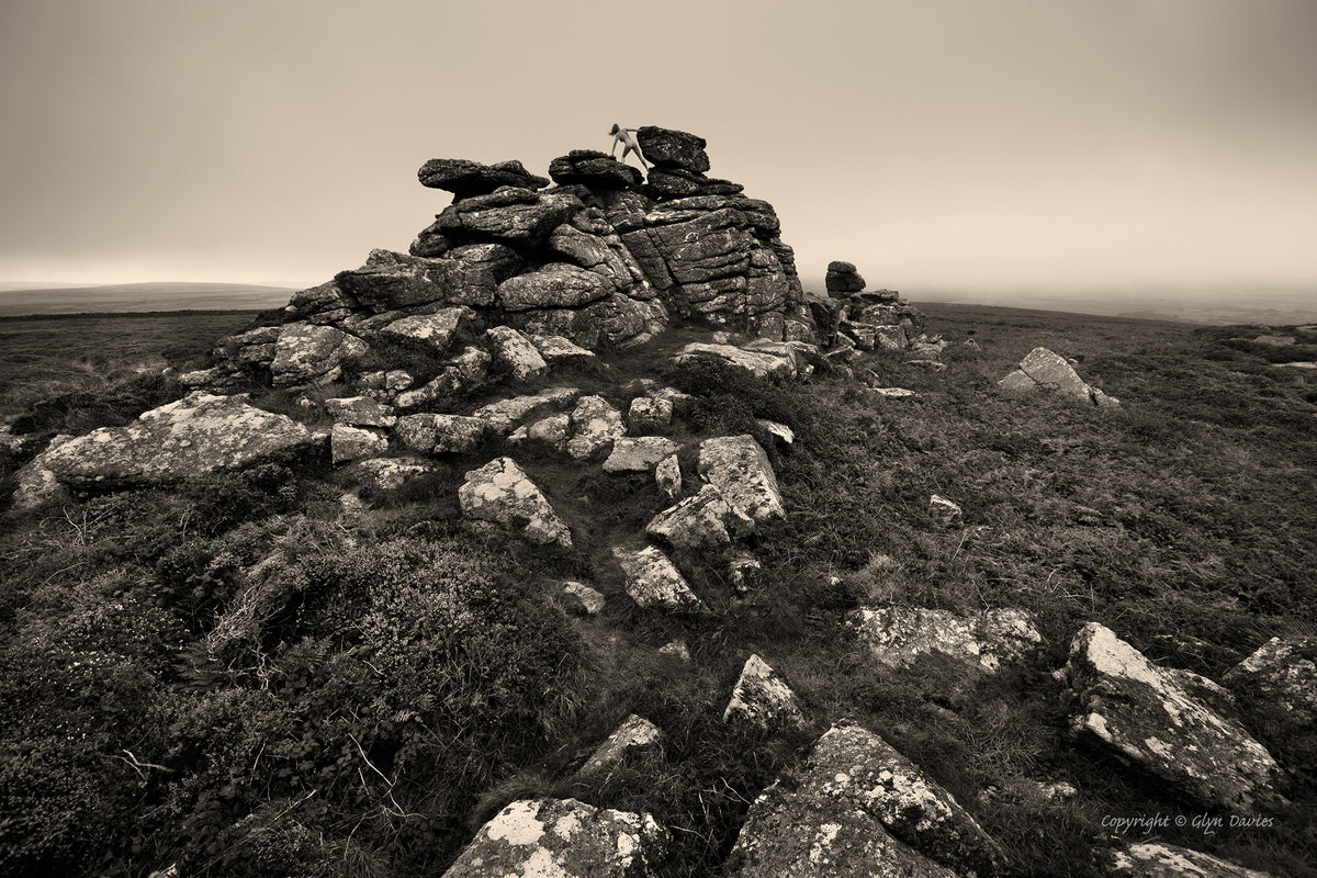 “Alone in the Stone"