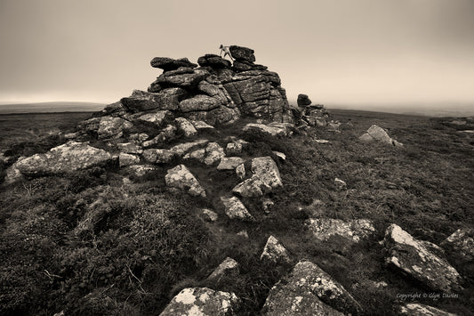 “Alone in the Stone"