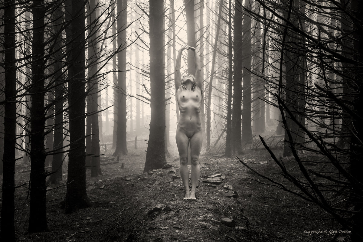 "Emergence from Darkness"