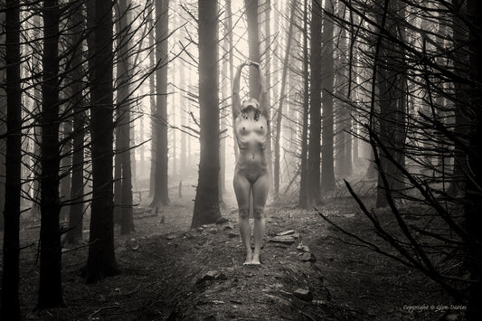 "Emergence from Darkness"