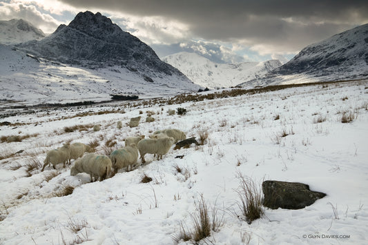 "Close Knit in the Cold" Tryfan & Ogwen Valley