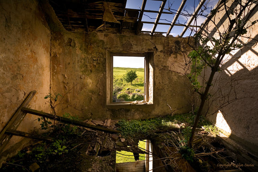 "Living Room" Penmon