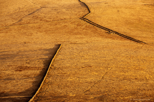 "Making Tracks for Home" Llyn Peninsula