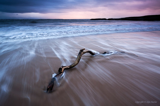 "Driftwood" Traeth Llydan, Silver Bay