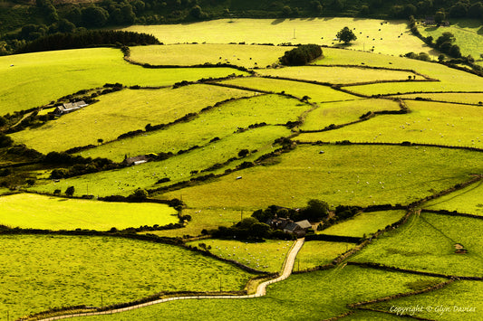 "Farm In Rolling Landscape" Llyn Peninsula