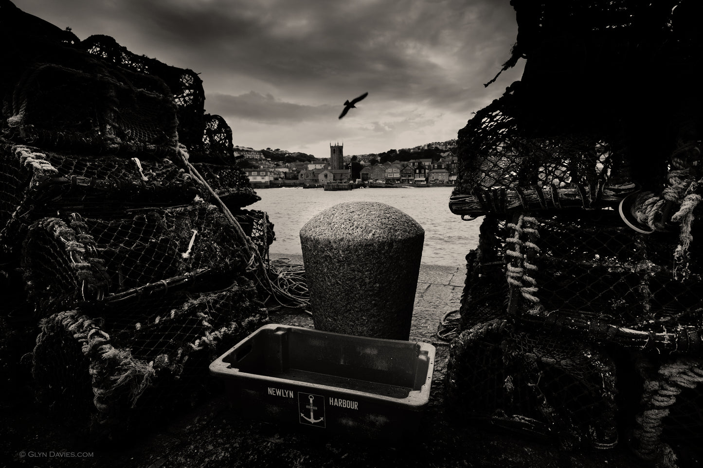 "A Bird Between Pots" St Ives, Cornwall