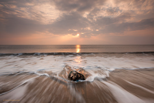 "Washed Lobster" Dinas Dinlle