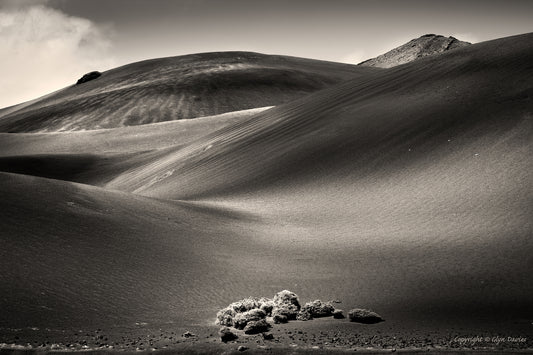 "Land of the Burning Bush" Timanfaya, Lanzarote