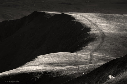 "Where Sheep Dare" Moel Eilio