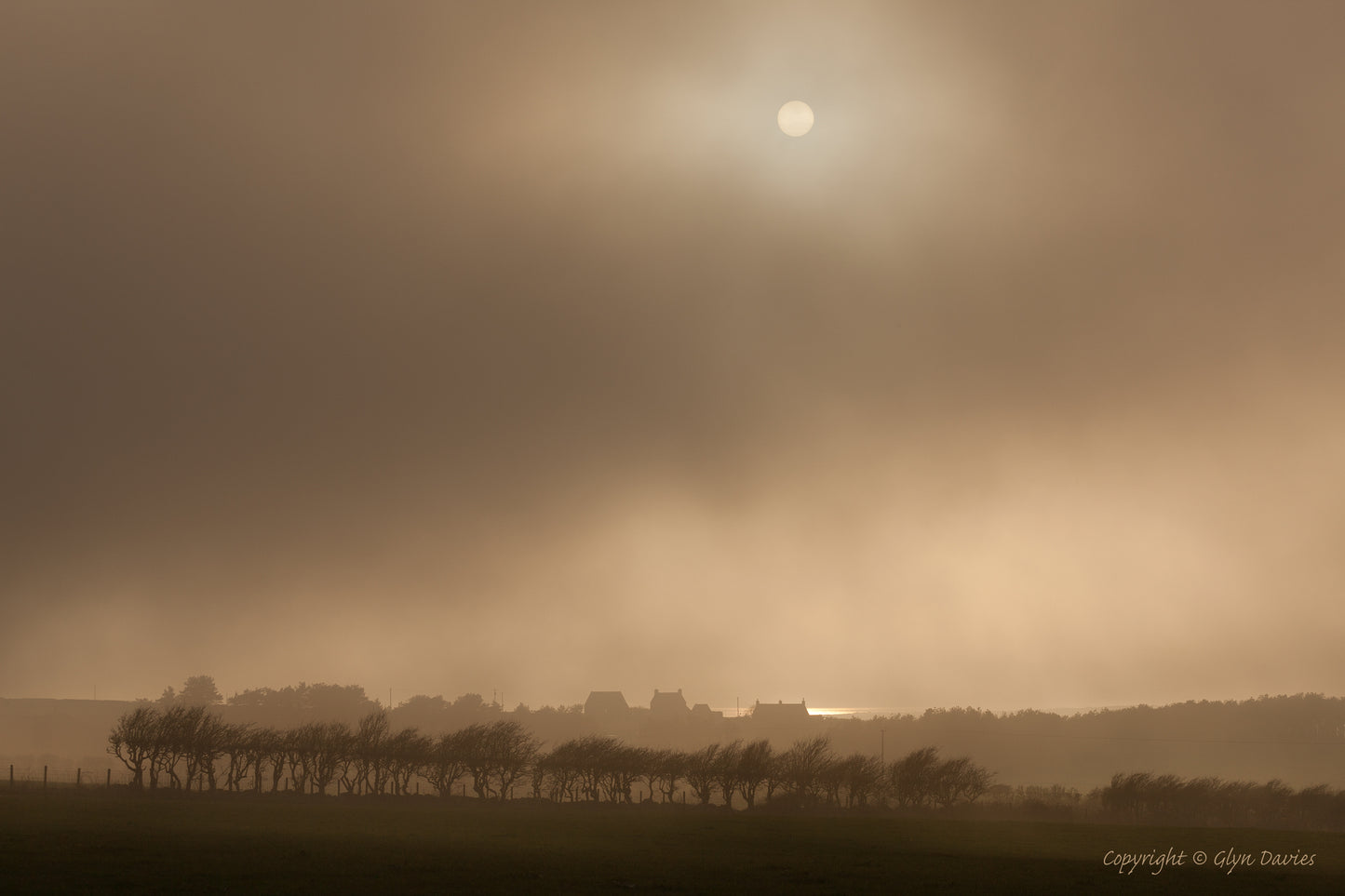 "Sunlight Beyond" Aberffraw