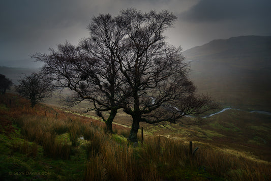 "Signs of Winter" Yr Wyddfa (Snowdon)