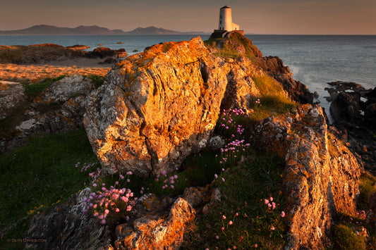 "Rarely Alone at Sunset" Llanddwyn