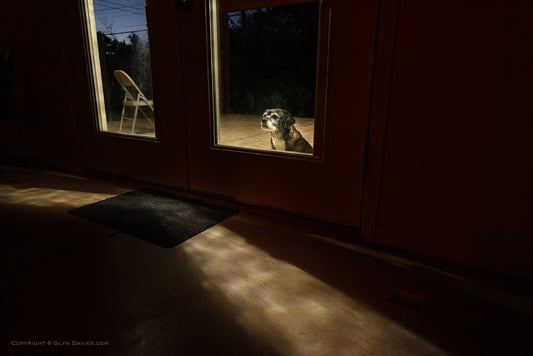 "For Whom" New Mexico