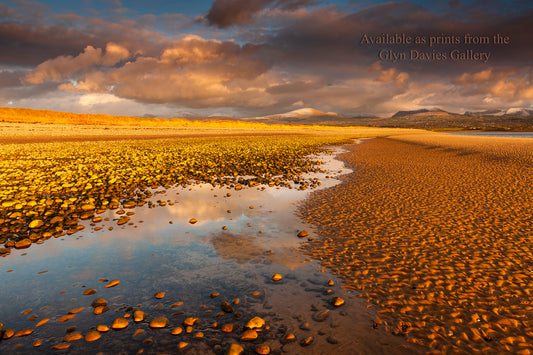 "Winter Sun" Llanddwyn