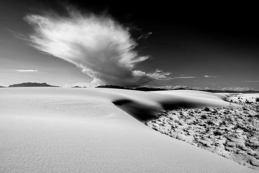"The Explosion" White Sands, New Mexico