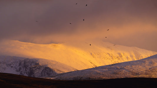 "Summit Soaring" Yr Wyddfa (Snowdon)