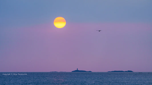 "When Beautiful Things Just Happen" Anglesey