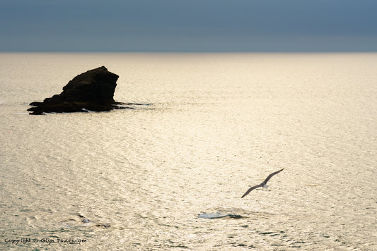 "Thermals Rising" Portreath