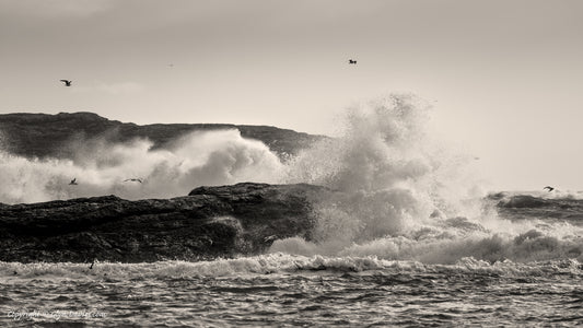 "Fishing in Storm Waves" Trearddur Bay