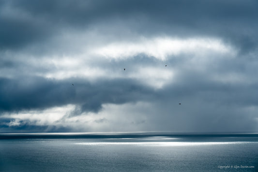 "Fragile Connections" Porthleven